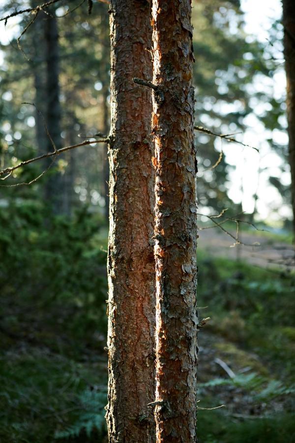 Taattisten Tila - Taattinen Farm And Cottages Naantali Luaran gambar